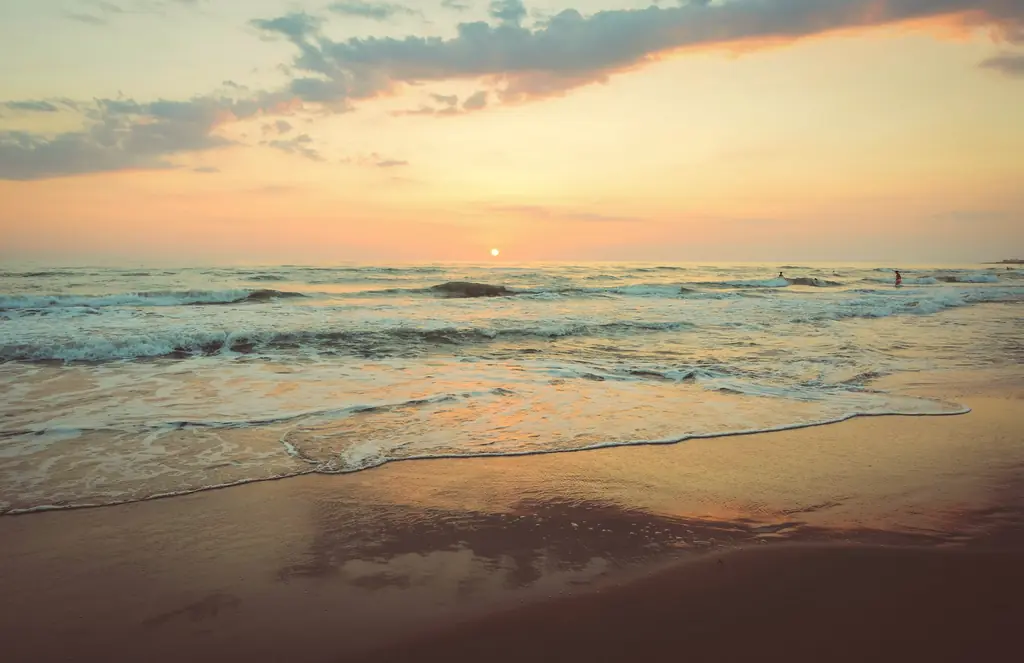 Golden sunset over the shoreline